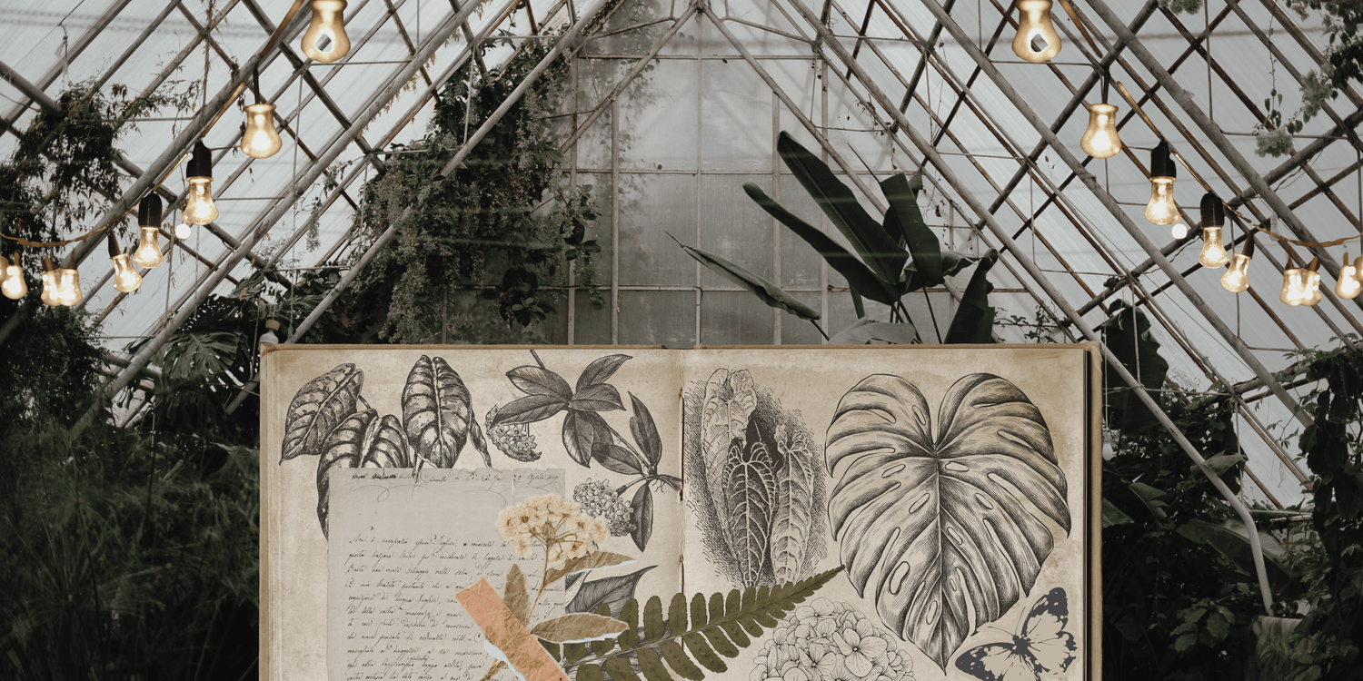 A green jungle wall covered in Philodendron, Palms, and Ferns