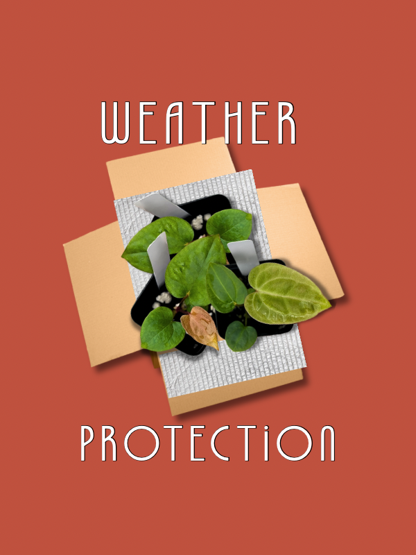 Weather Protection
